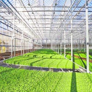 Natural Or Customized Agricultural Greenhouse Solar System Customized Color Corrosion Resistance PV Ground Support